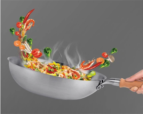 titanium steamer titanium steamer