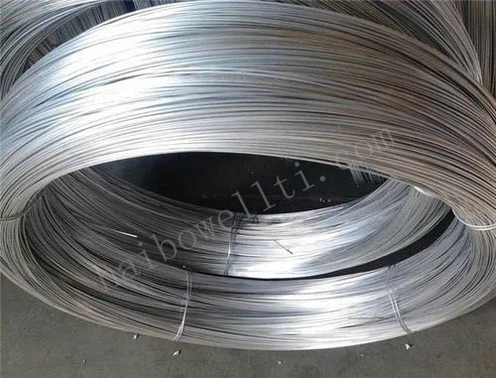 product-500-381 product-500-381