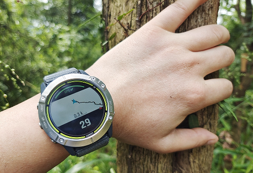 Titanium Field Watch Titanium Field Watch